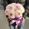 Георгины в коробке