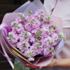 «Матиолла» 19