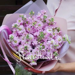 «Матиолла» 29 - Цветы с доставкой по Москве.